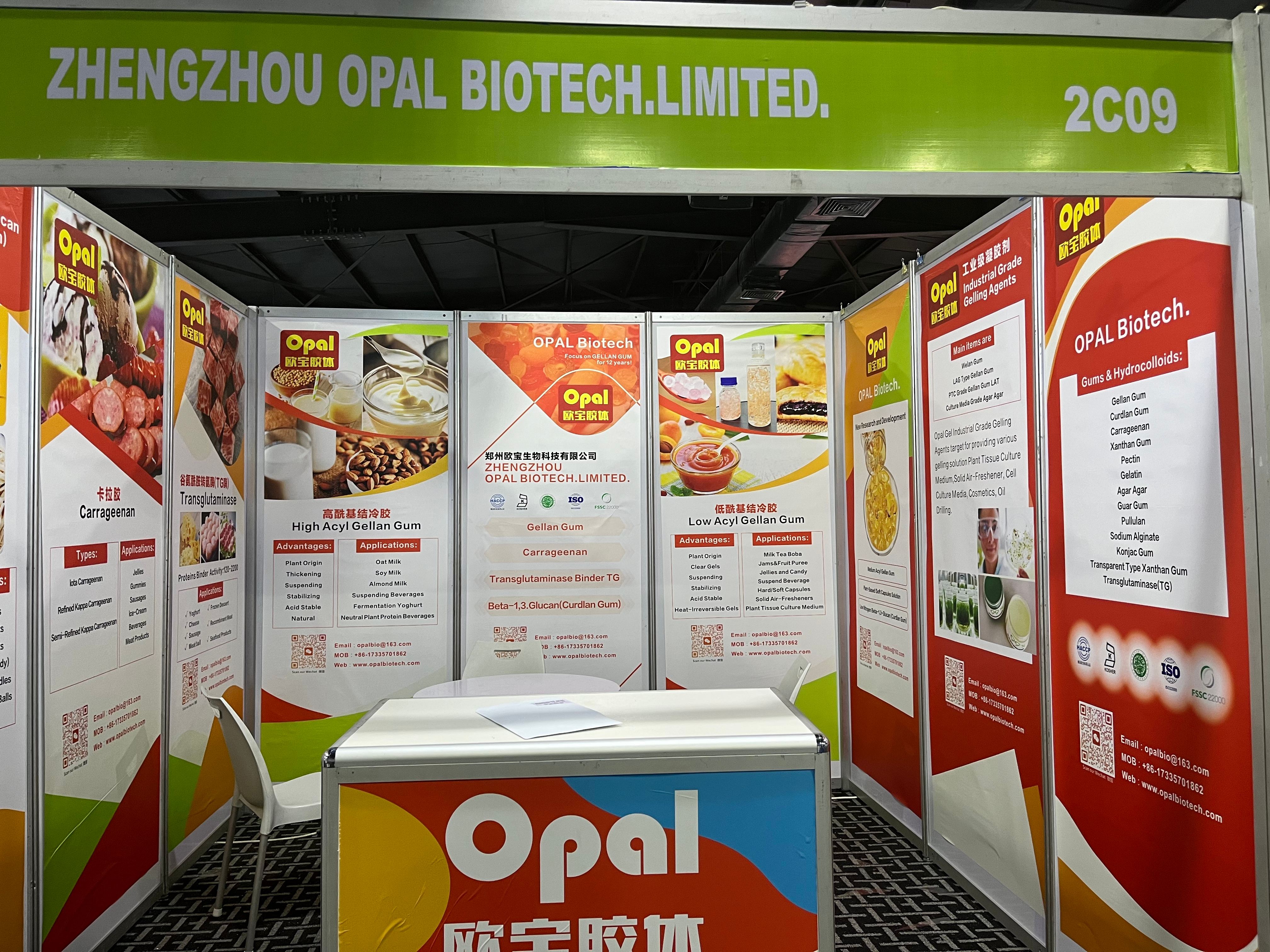Exhibition photo(1).jpg