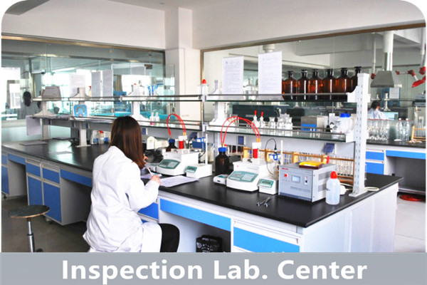 INSPECTIOIN LAB. CENTER.jpg