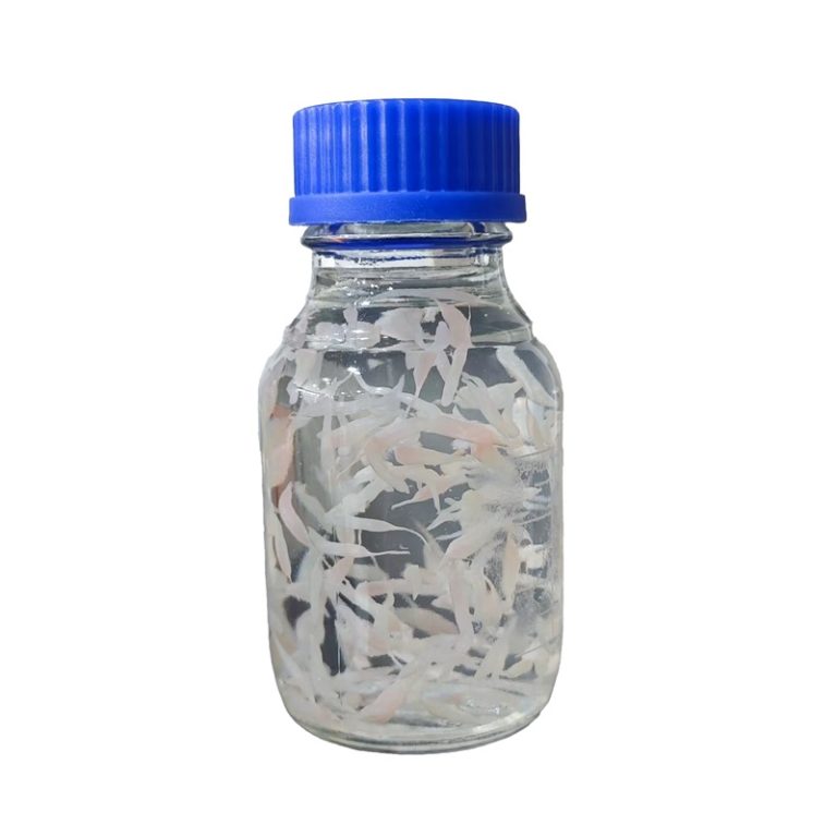 https://www.opalbiotech.com/wp-content/uploads/2025/07/suspension.jpg