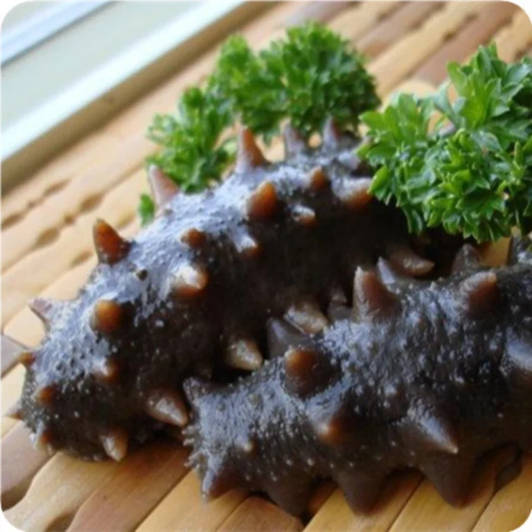 https://www.opalbiotech.com/wp-content/uploads/2025/08/curdlan-gum-for-meat-free-products.webp
