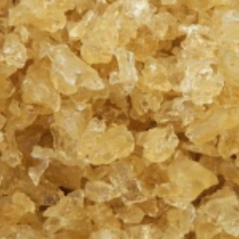 https://www.opalbiotech.com/wp-content/uploads/2025/09/gelatin2.webp