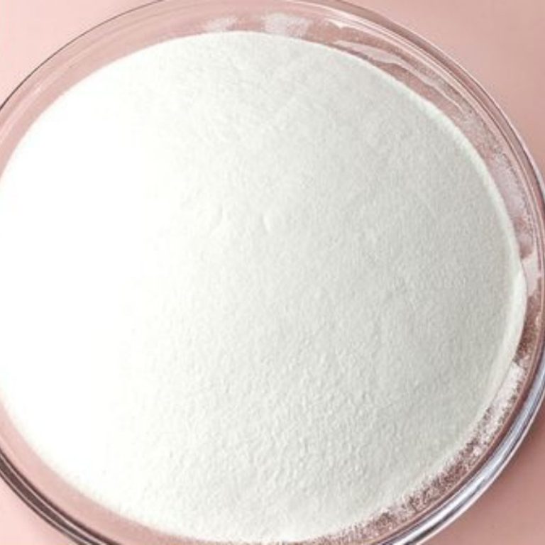 https://www.opalbiotech.com/wp-content/uploads/2025/09/kon.jpg